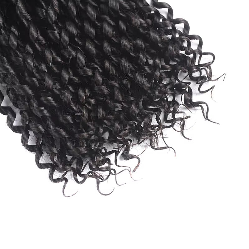 curly human hair bundles with closure