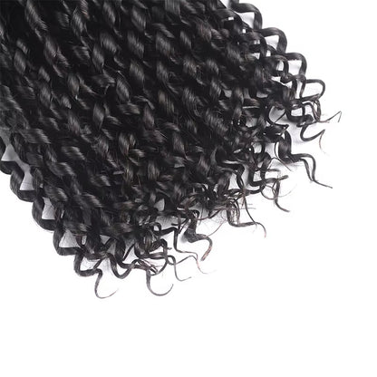 curly human hair bundles with closure